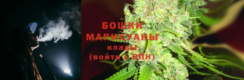 МАРИХУАНА конопля  Выборг 